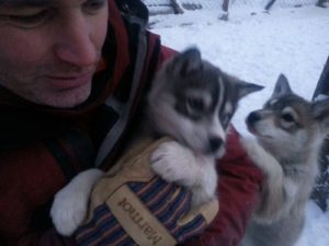 hundar_IMG_4481